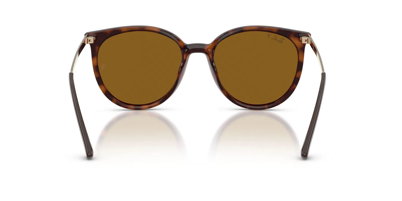 Ray-Ban 4464L Sunglasses - view 20